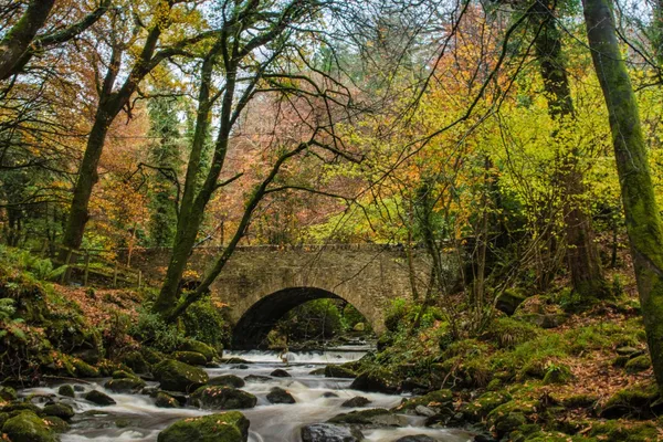 Killarney National Park Full Day Photography Tour photo 2