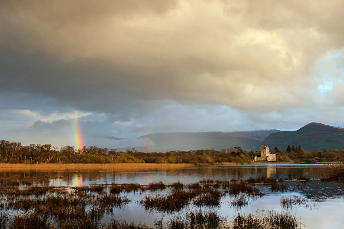 Killarney National Park Full Day Photography Tour