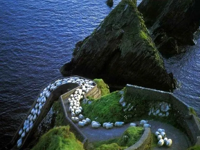 Dingle Day Tour from Killarney