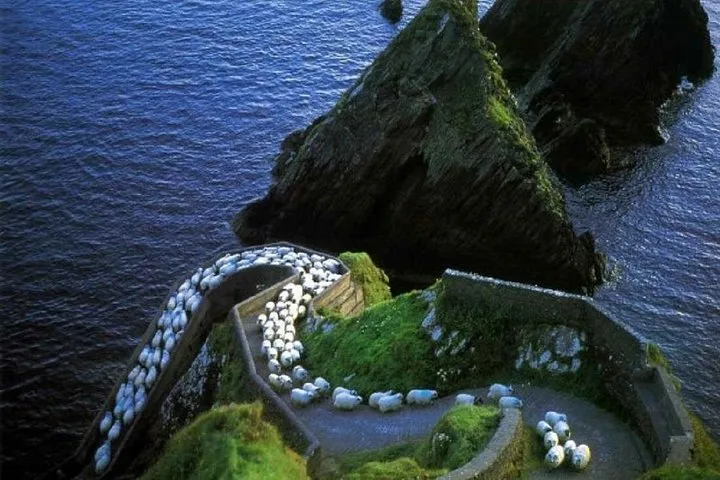 Dingle Day Tour from Killarney