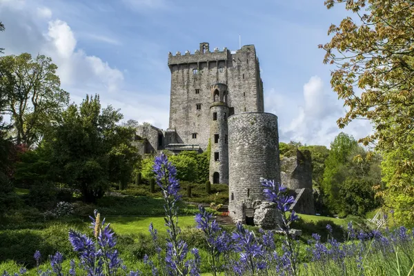 Cork City, Blarney Castle & Cobh Day Tour by Train photo 2