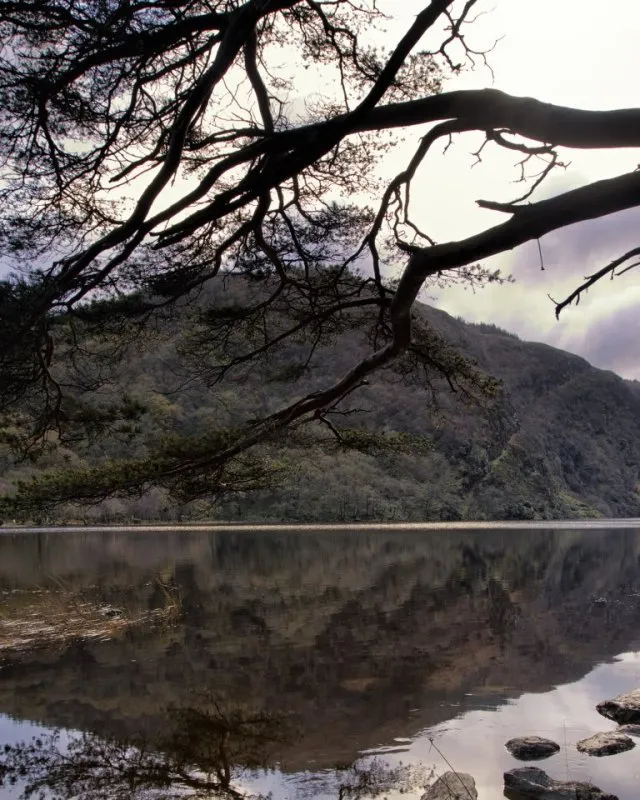 Wicklow Mountains