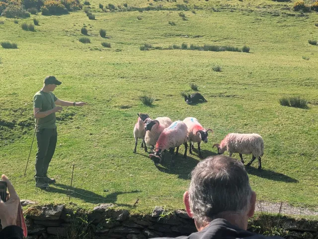 Ring of Kerry Tour from Killarney