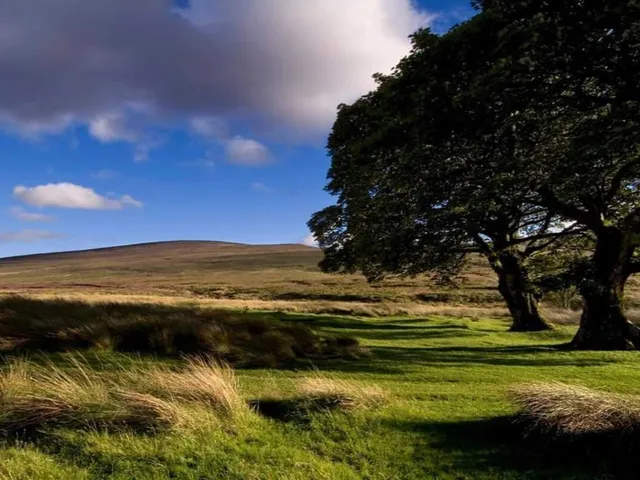 Private Day Tour to Wicklow Gardens & Glendalough Tour from Dublin